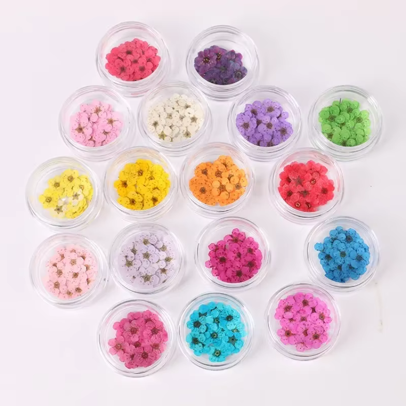 Ensemble de petites fleurs séchées Spirea pour décorations Nail Art
