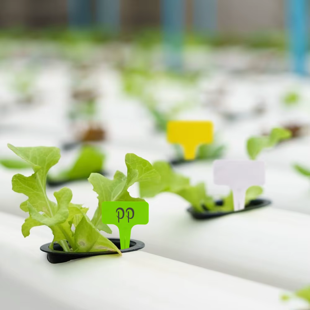 Marqueur de plante de jardin en plastique optique de type T