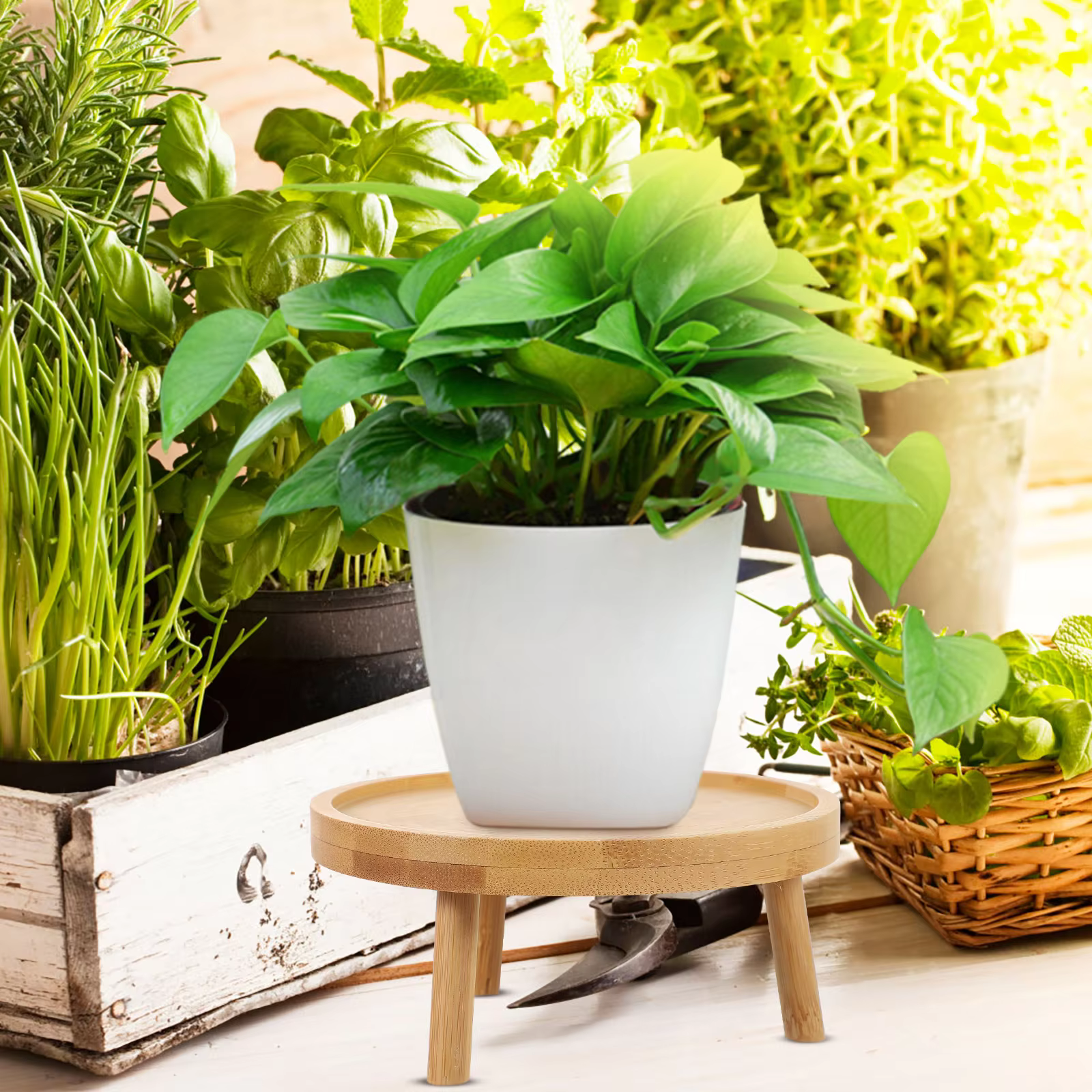 Support décoratif rond en bois massif pour pots de fleurs