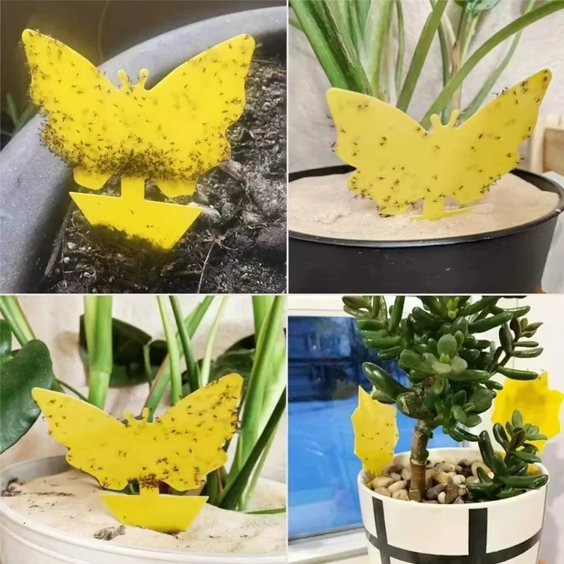 36 pièces/ensemble de pièges à insectes jaunes