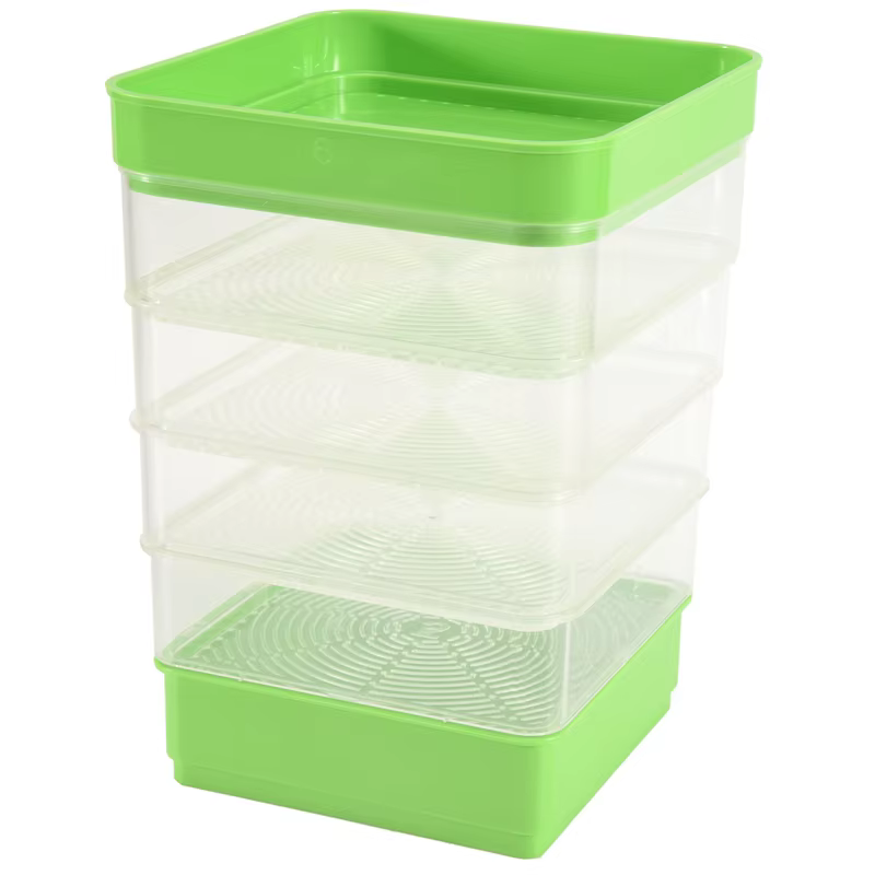 Kit de Germination de graines de haricots