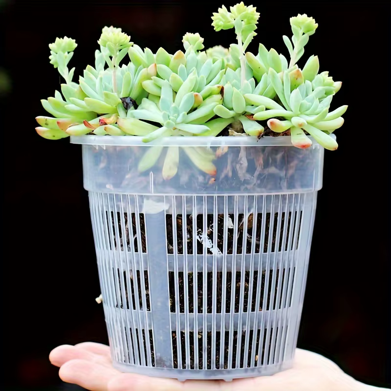 Lot de 6 pots à orchidées transparents avec trous de drainage