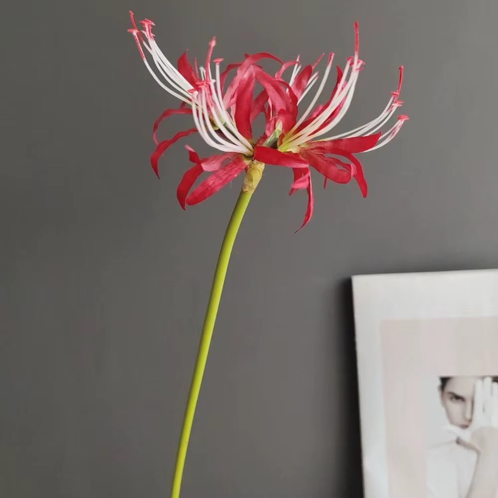 60cm Simulation Manzhushahua soie araignée lys fleurs artificielles photographie décoration bricolage Pseudo Lycoris Bouquet mariage