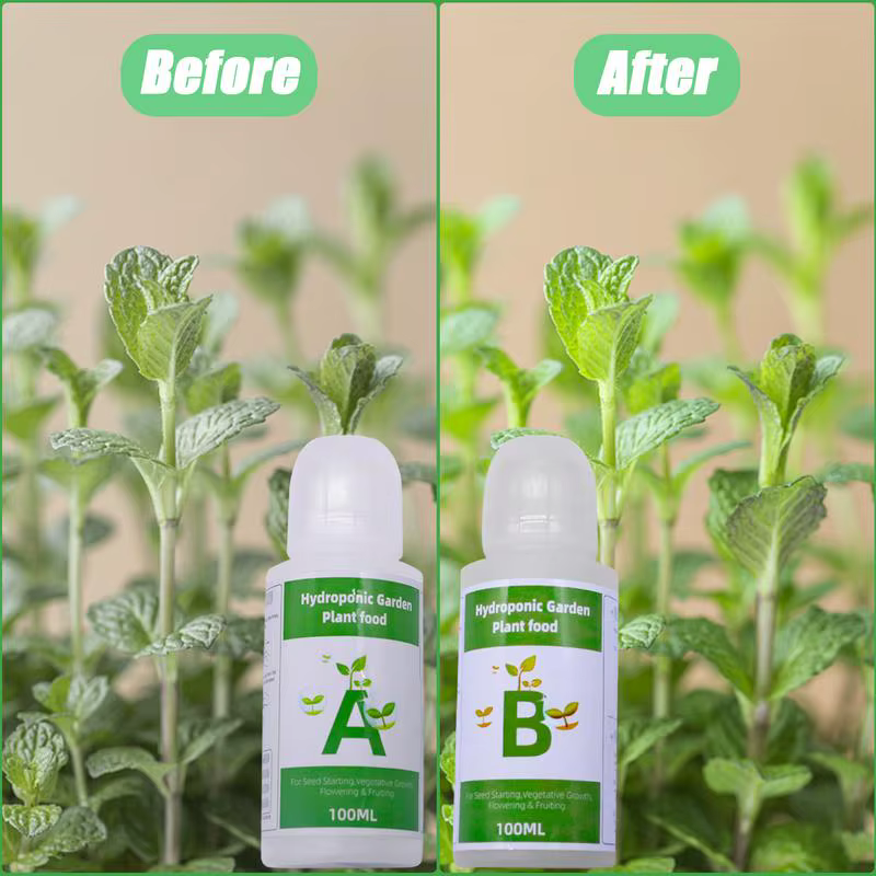 Nutriments hydroponiques généraux A et B pour plantes
