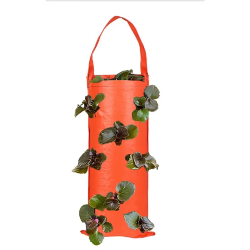 Nouveau sac de culture suspendu à 6 trous pour fraises