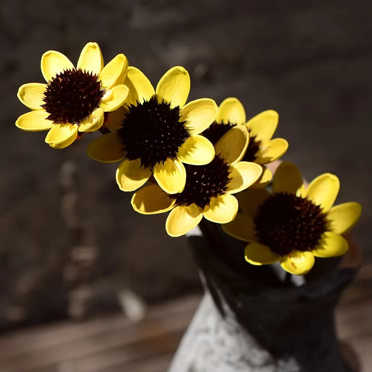 Tête de fleur hybride Rudbeckia séchée naturelle
