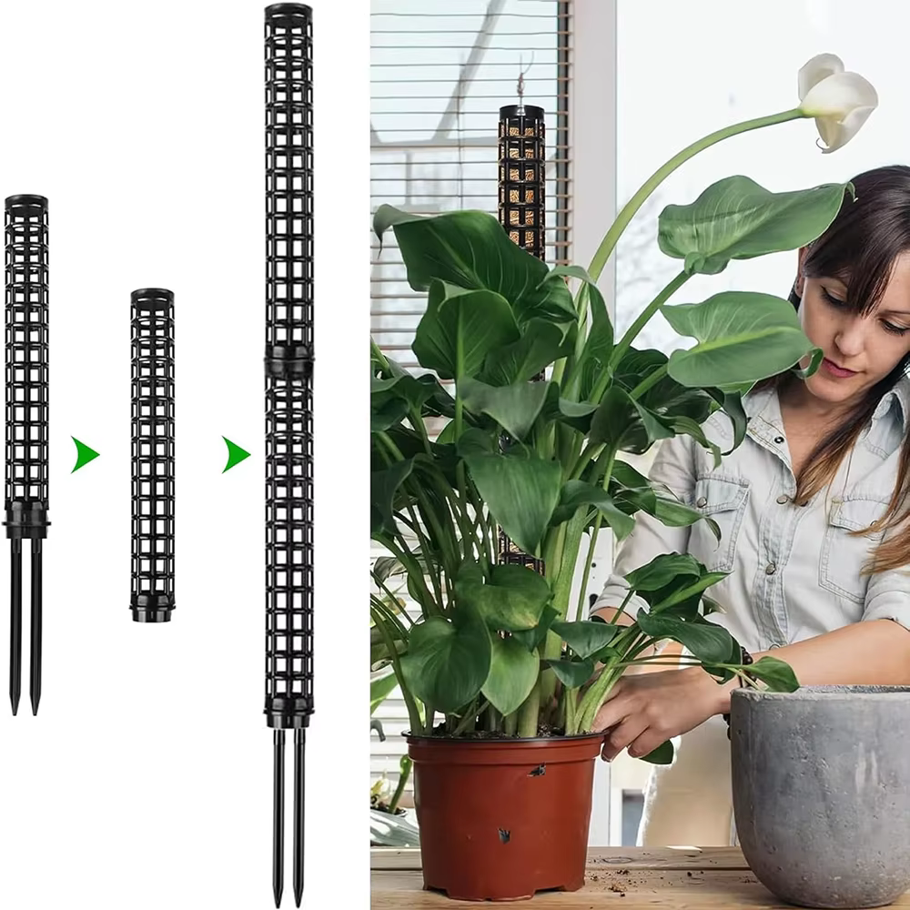 Poteau de mousse pour plantes grimpantes Monstera