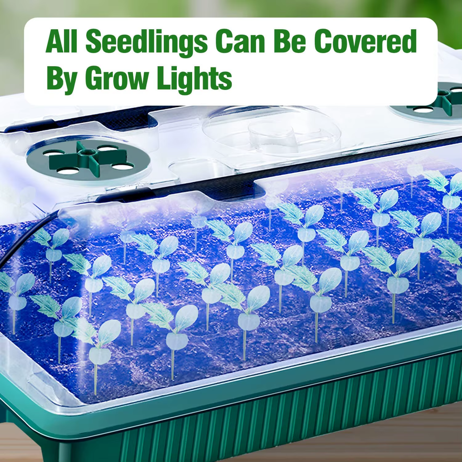 Lot De 2 Plateaux De Démarrage Pour Graines Avec Kit De Germination À Dôme Élevé – 80 Cellules