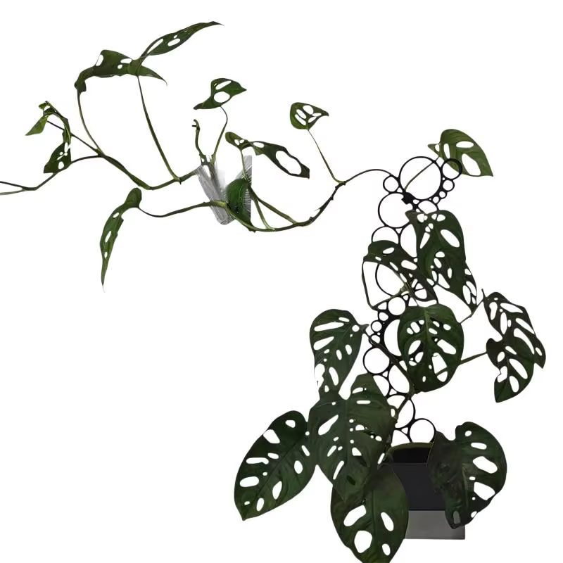 Support créatif en métal pour plantes en pot