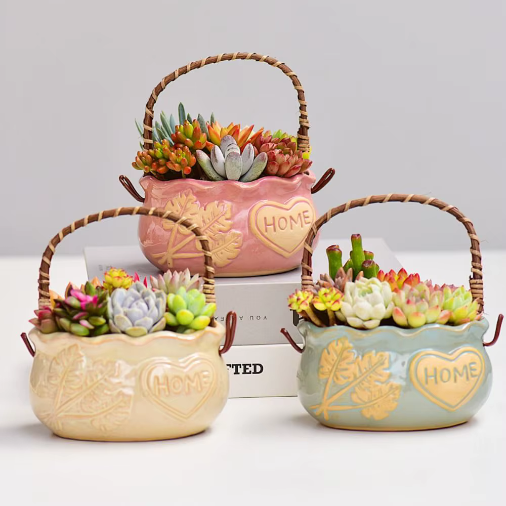 Jardinière succulente en céramique résistante à la Corrosion