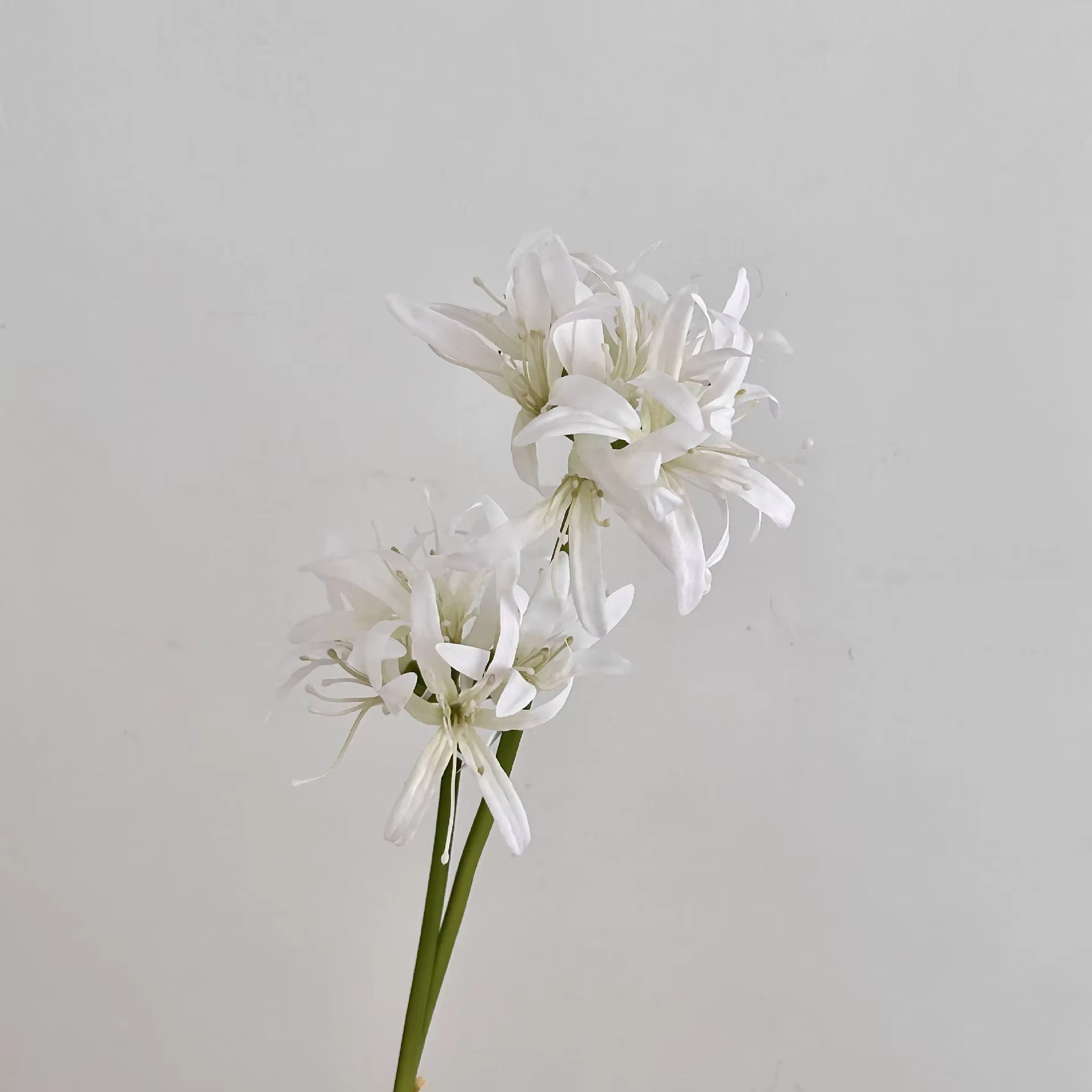 Fleurs de lys araignée rouge artificielles de 19.7 pouces