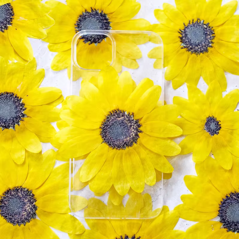 Kit d'artisanat de fleurs sèches de tournesol pressé