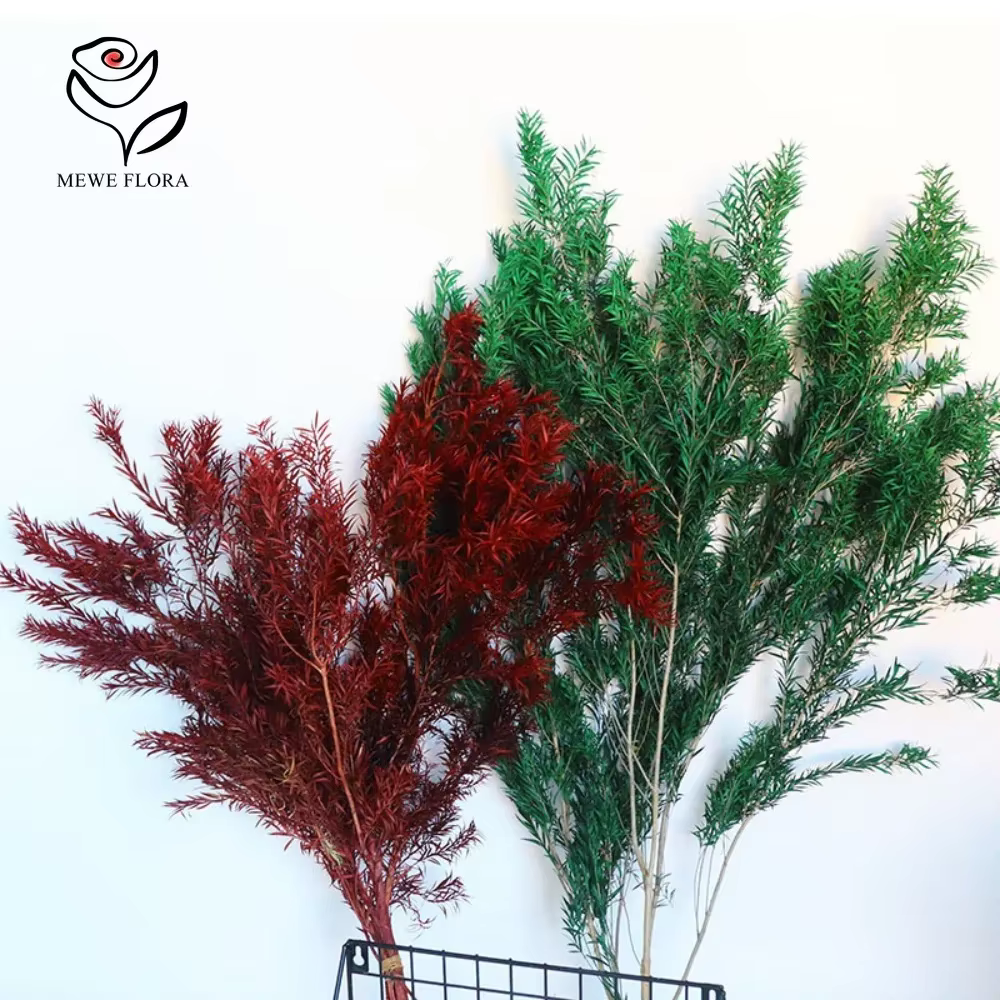 Bouquets de Fleurs vaccées Naturelles pour Décoration de Maison