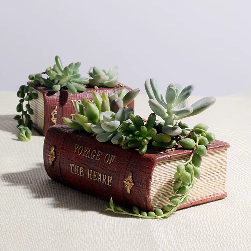 Pot à plantes succulentes en forme de livre