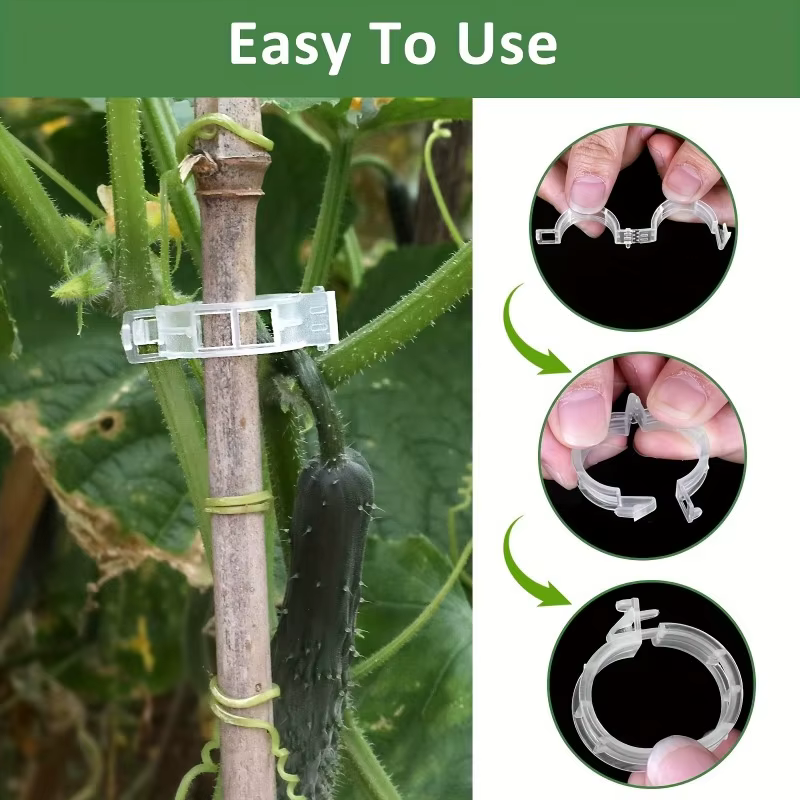 50 pièces - Tomates et plantes grimpantes - Outils durables et résistants aux intempéries pour l'entraînement et l'assistance.