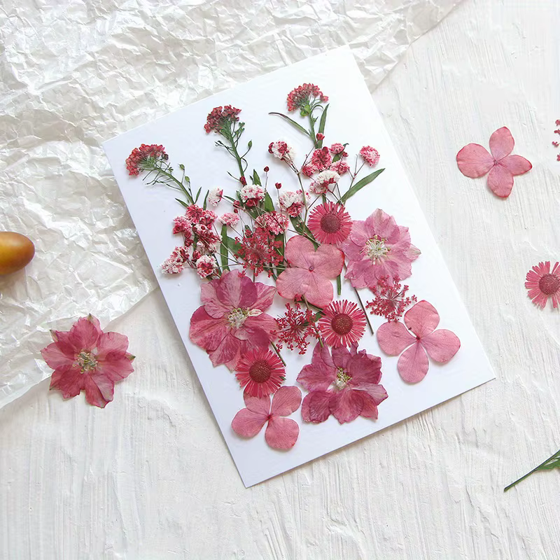14 styles de fleurs séchées DIY, élégantes et magnifiques, fleurs artificielles de mignonnonneux, décoration créative simple de fleurs pressées