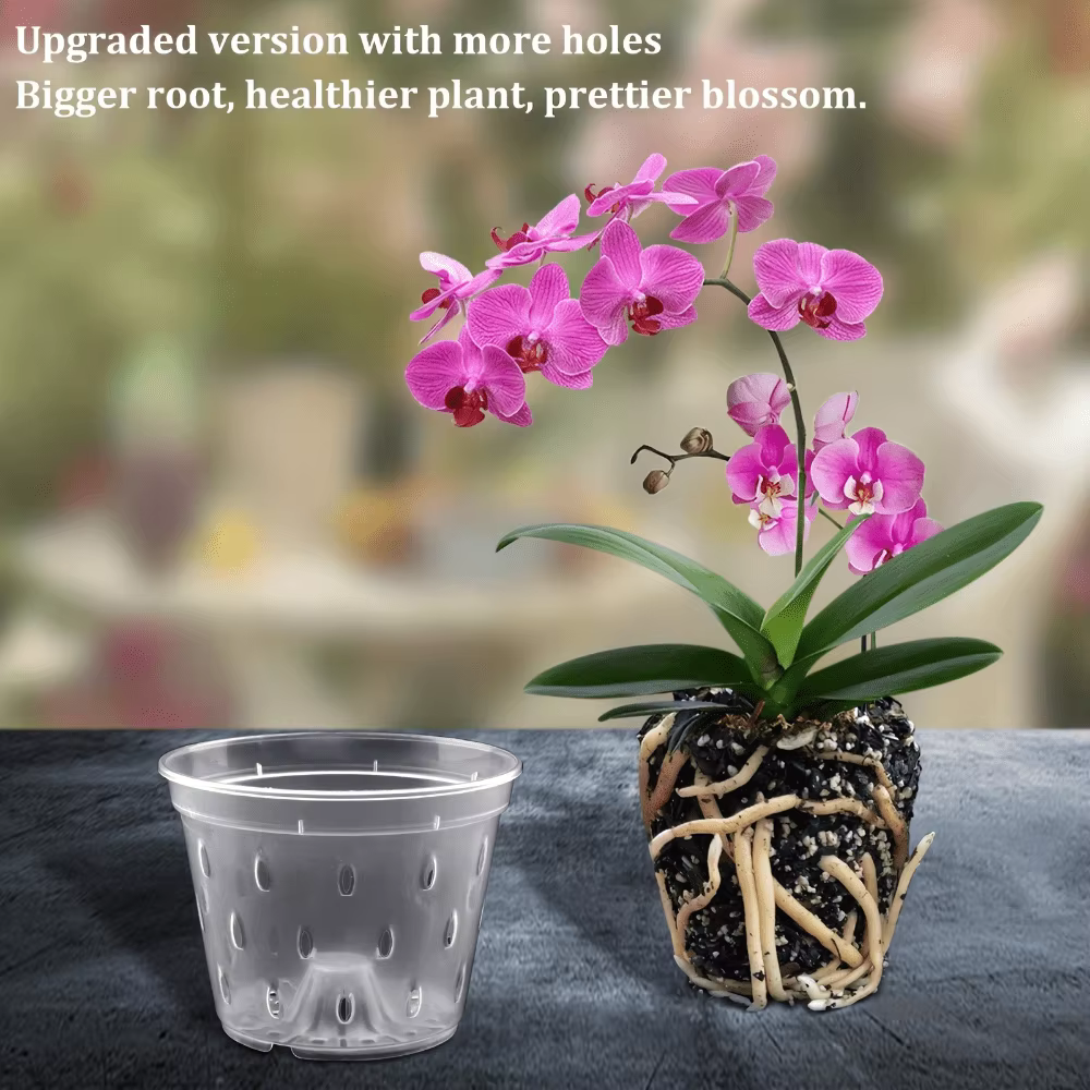 Lot de 3 pots en plastique pour orchidées