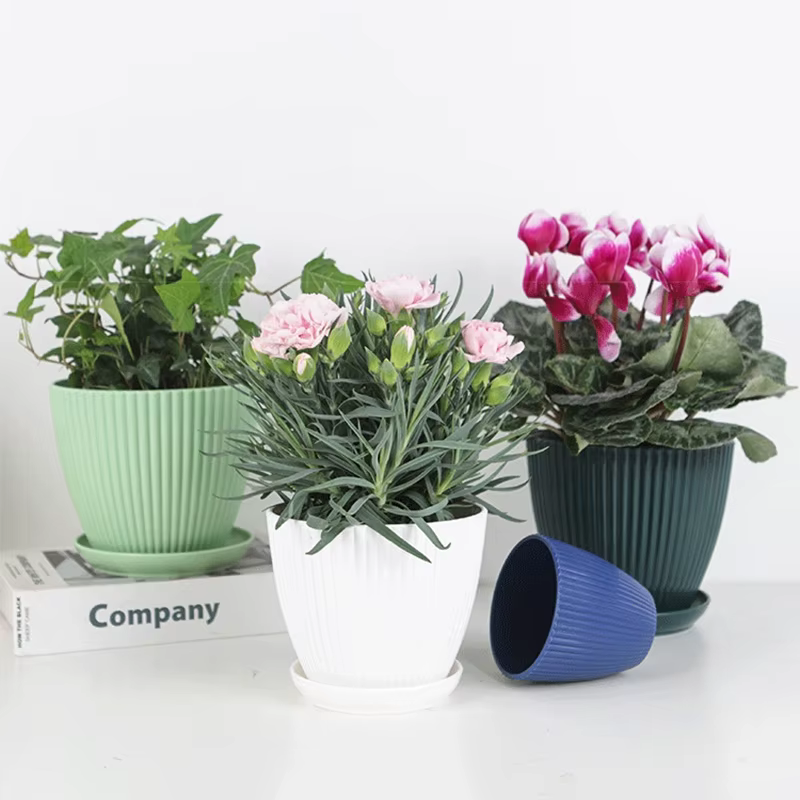 Pots de fleurs en plastique avec plateau