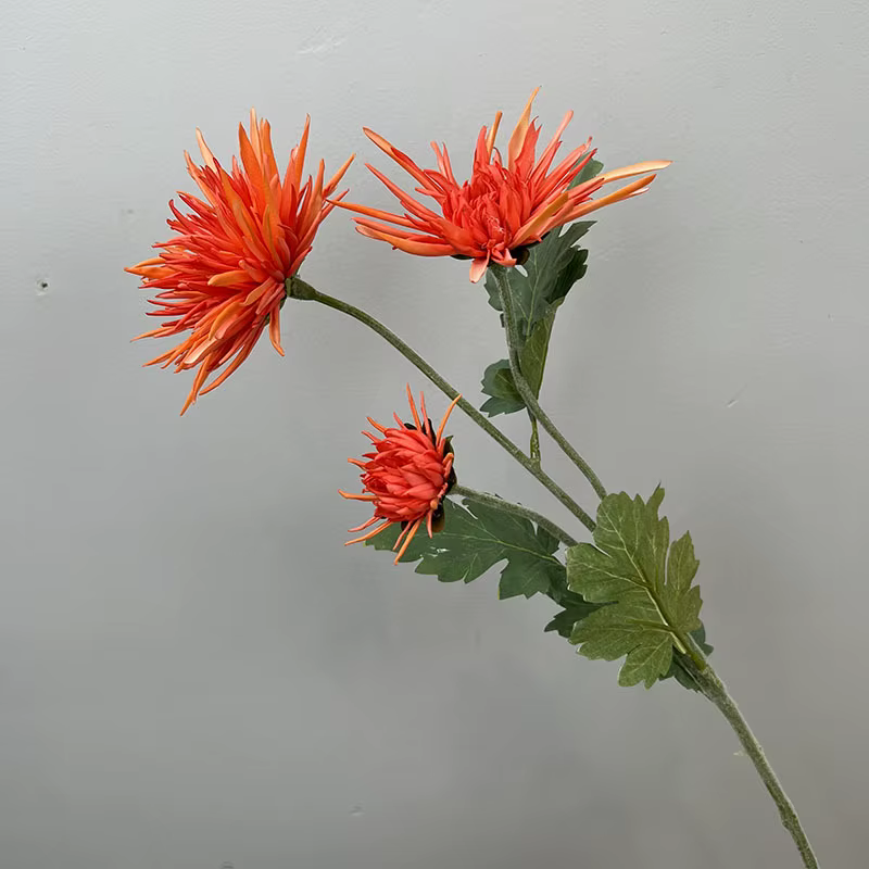 Crabe Griffe Chrysanthème Fleurs Artificielles