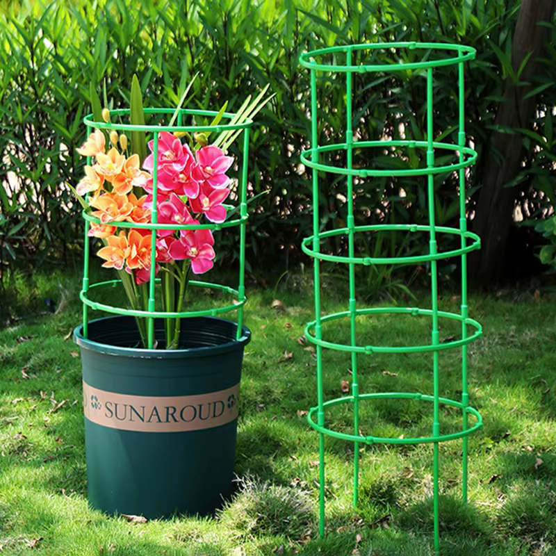 Support d'escalade de vigne verte