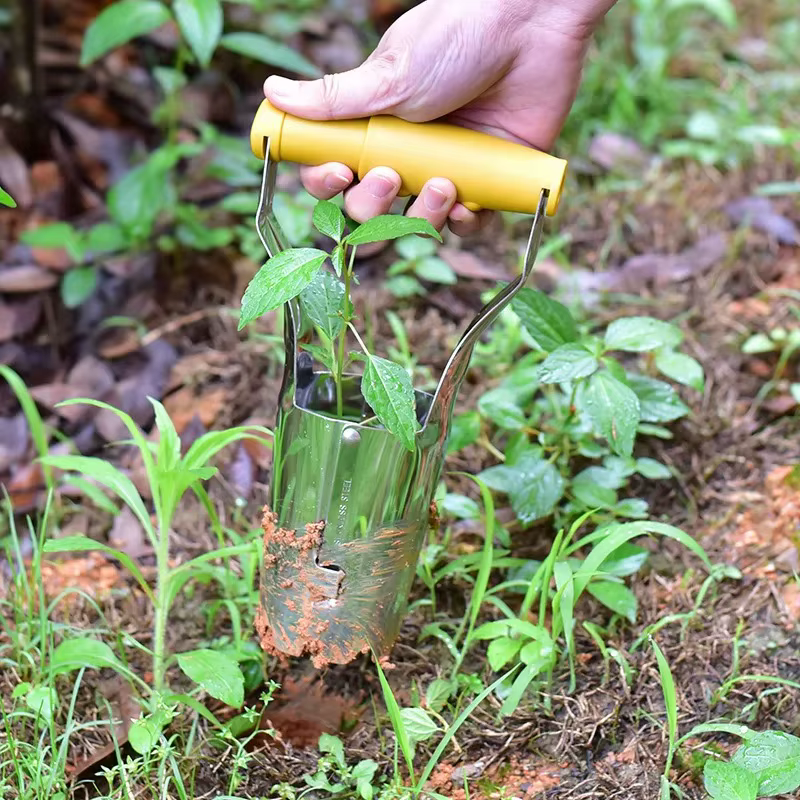Semoir de plantation de fleurs en acier inoxydable avec manche en bois pour le jardinage