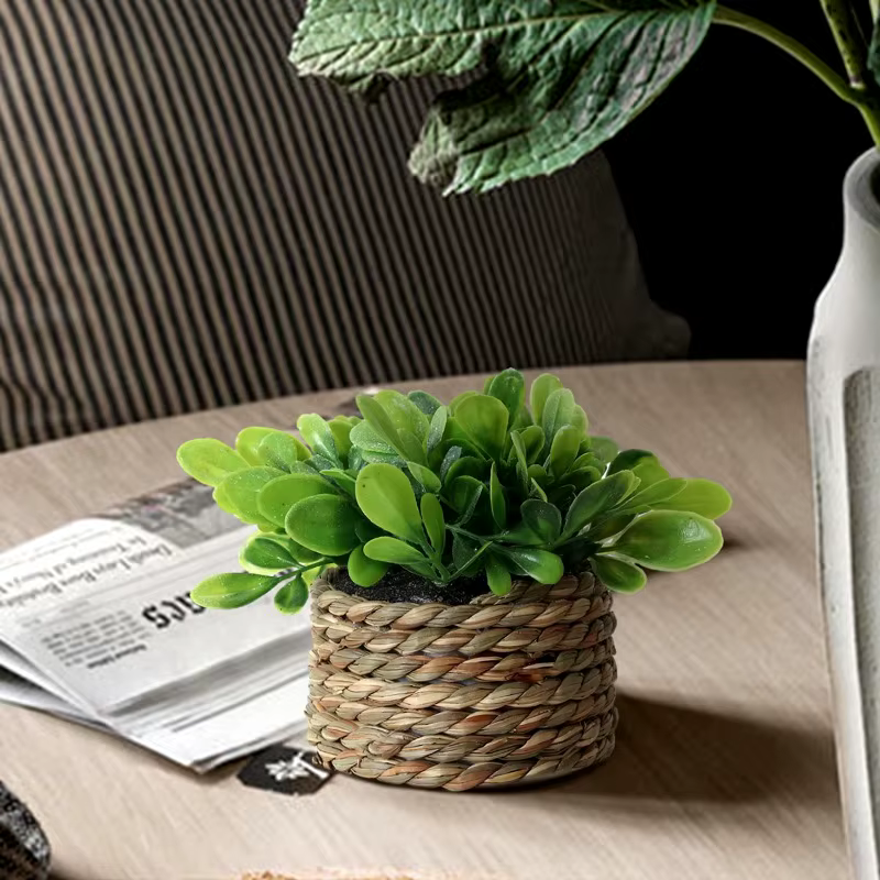 Plante en Pot petites fausses plantes