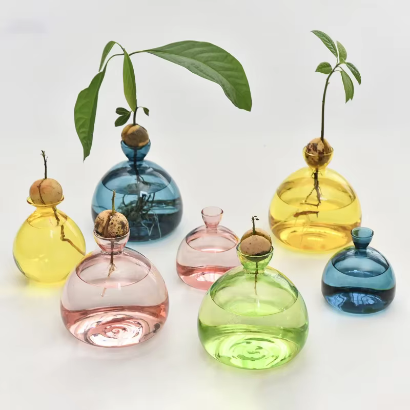 Vase hydroponique en verre Transparent