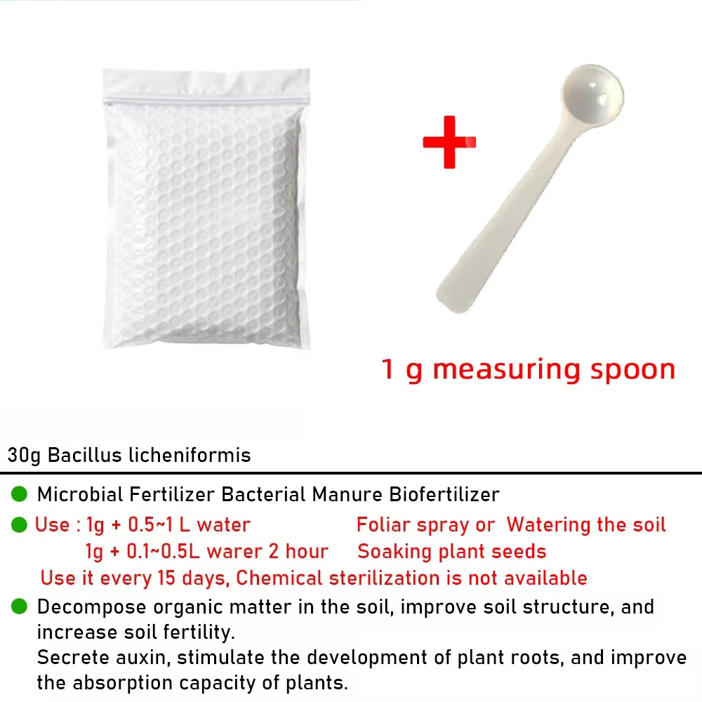 Agent de contrôle des parasites végétaux – Engrais organique microbien multi-souches Bacillus licheniformis 30g – Pour