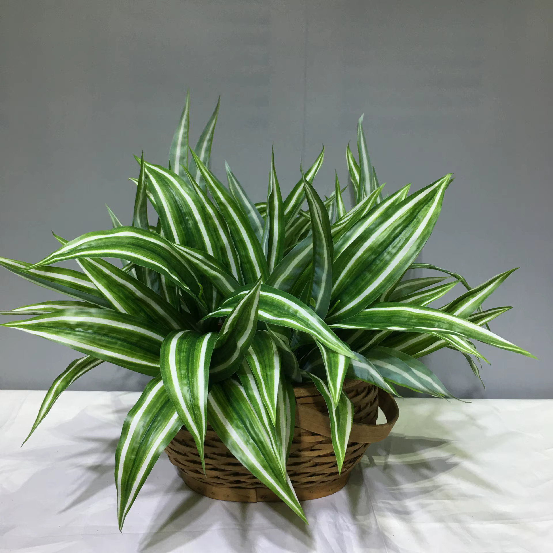 Faux combo d'agave en plastique pour la décoration intérieure et le jardin
