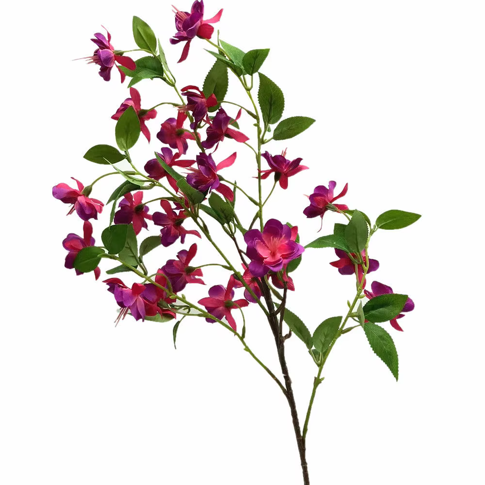 InjForsythia-Fleur de Viridissima Lindl avec Longue Tige