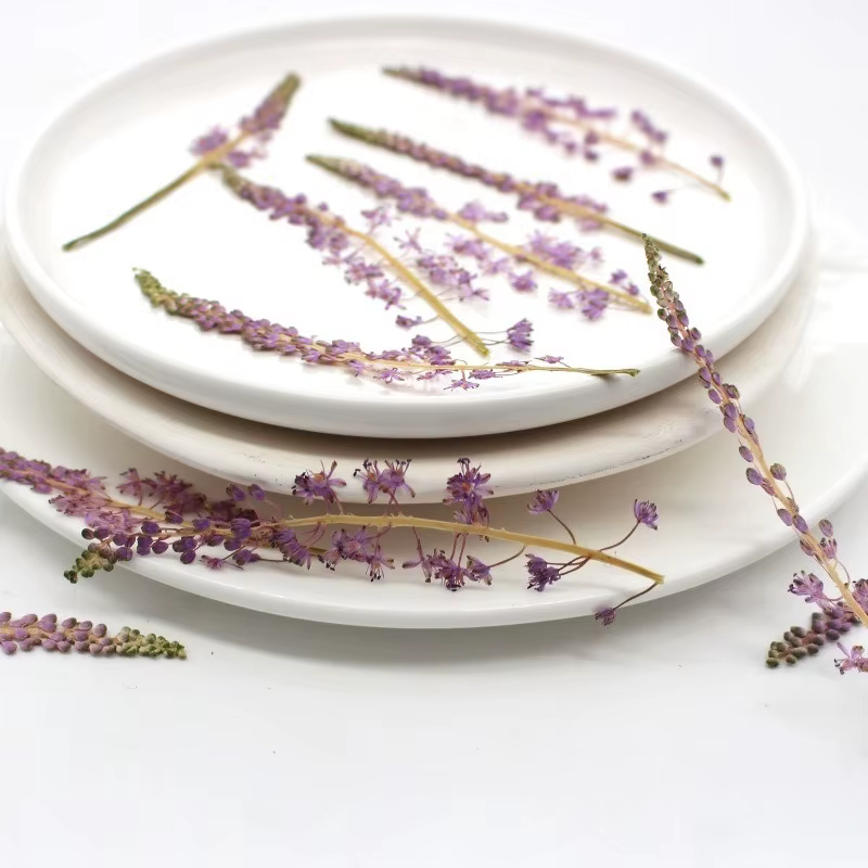 Fleur de Jujube en coton sauvage naturel
