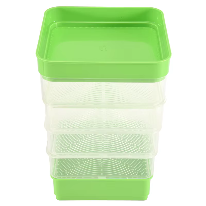 Kit de Germination de graines de haricots