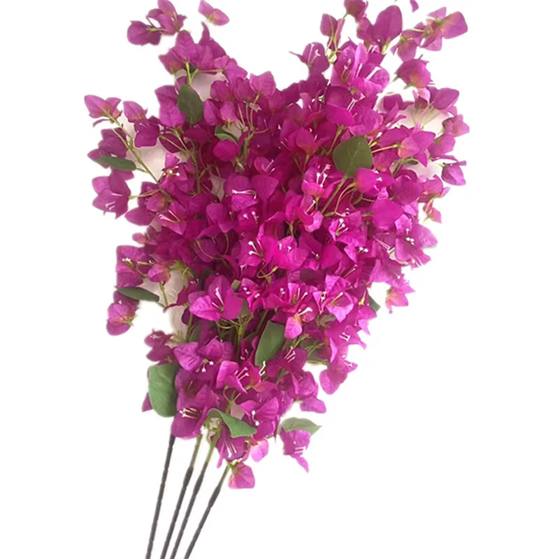 Tapis Bougainfalse Élavec longue tige, fleur, branche d'arbre, 5 pièces