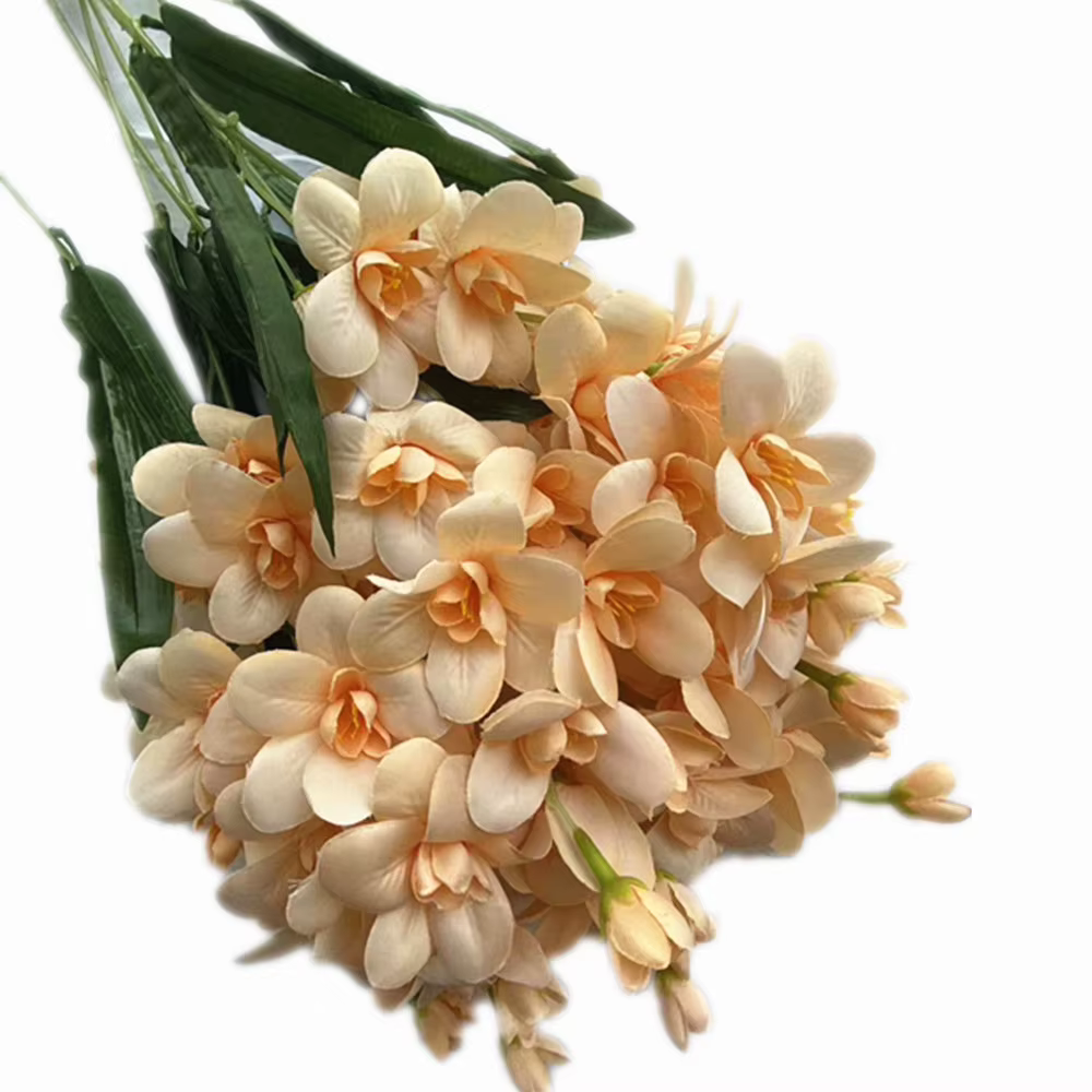 InjCattleya-Branche de fleur avec cuir chevelu vert