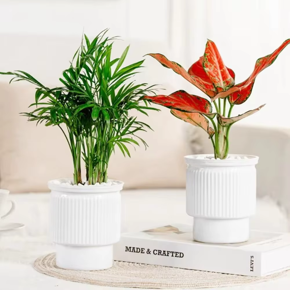 Pot de plantes hydroponiques auto-arrosant de luxe léger