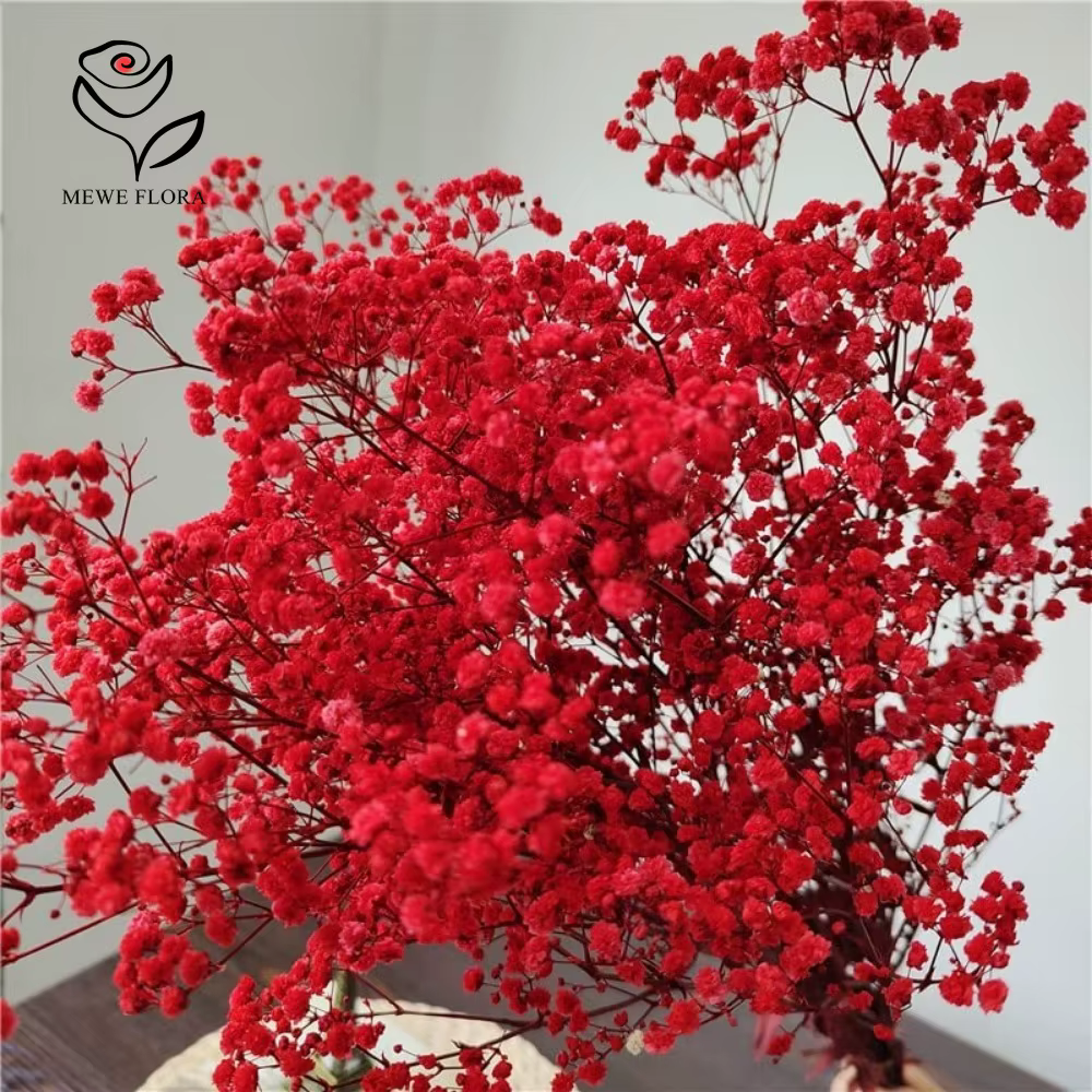 Bouquet de fleurs séchées pour bébé