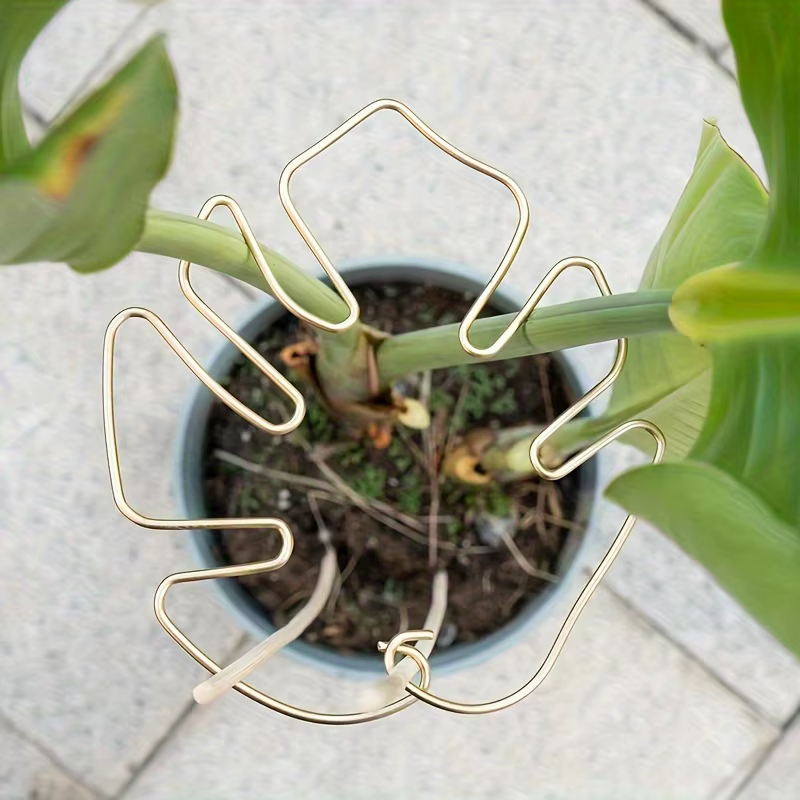 Grand support pour plantes suspendues
