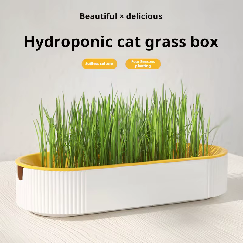 Boîte d'herbe hydroponique pour chat