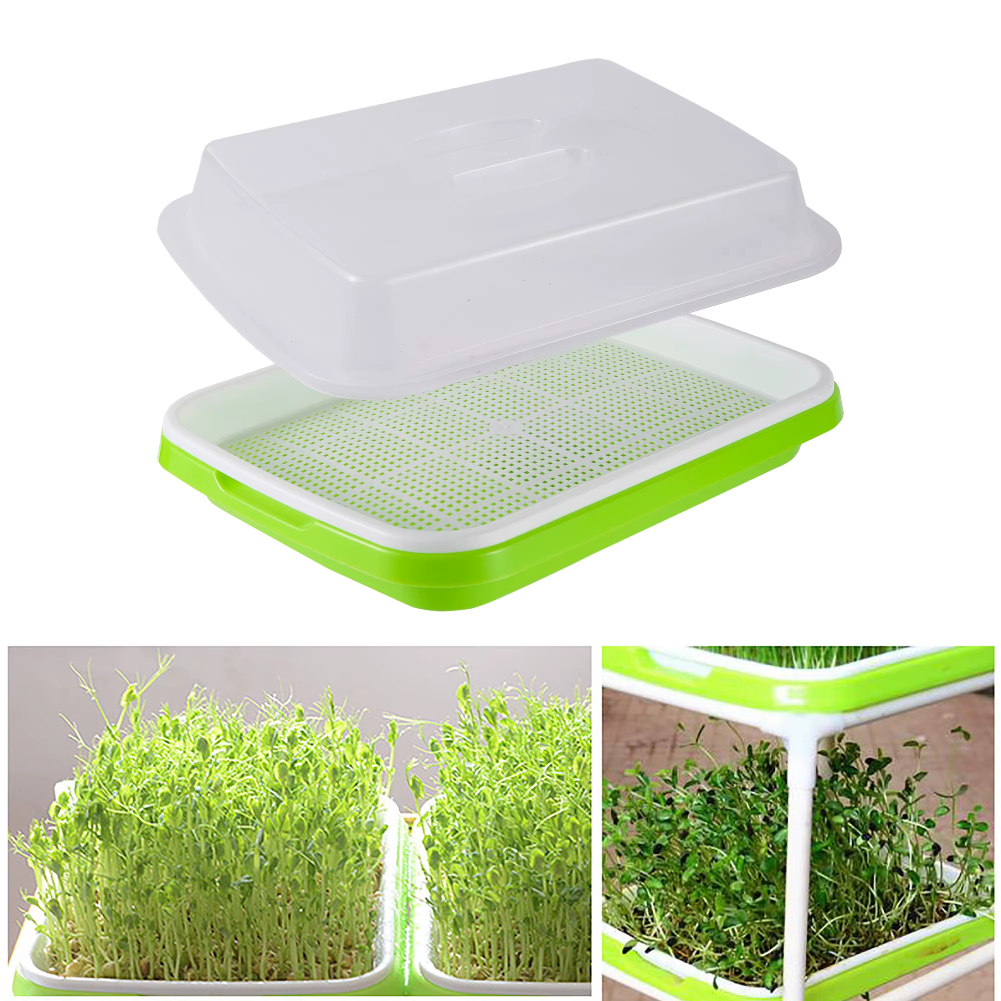 Kit de germination sans sol pour les cadres de germination