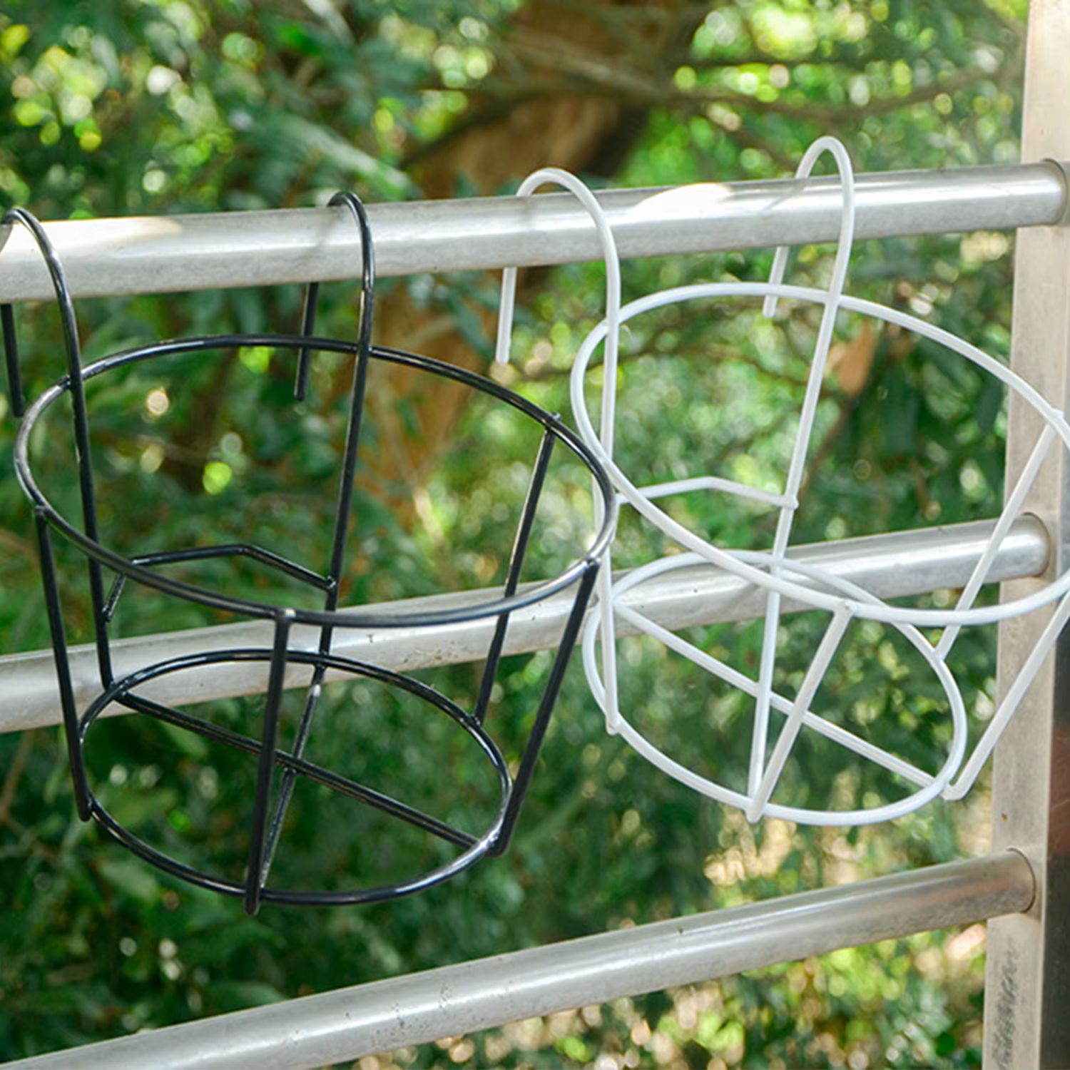 Mur en pot de plantes vertes charnues