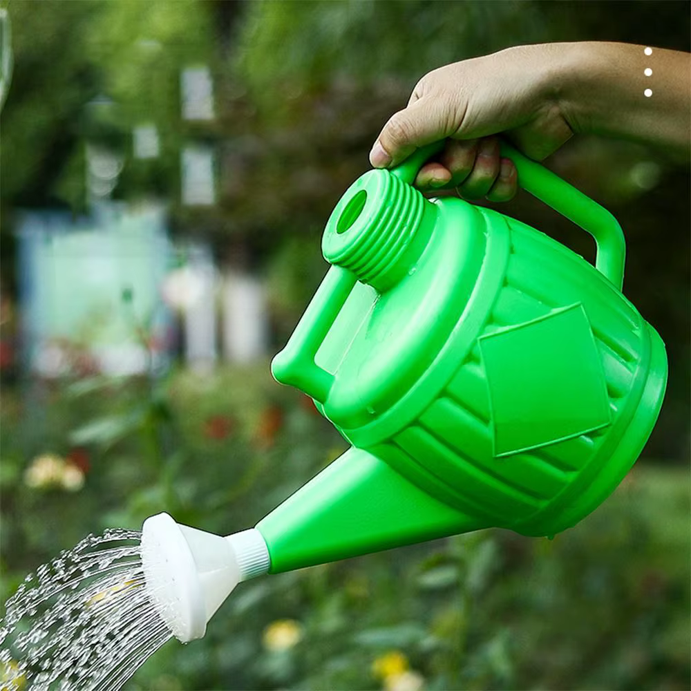 Arrosoir pour plantes, dispositif de décoration