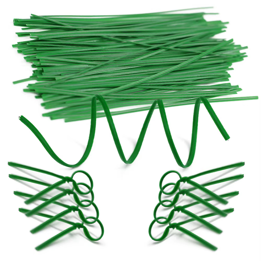 Plante grimpante de vigne verte