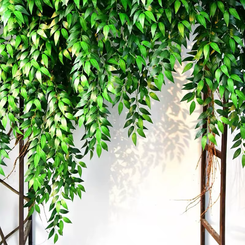 Plantes artificielles italiennes Ruscus