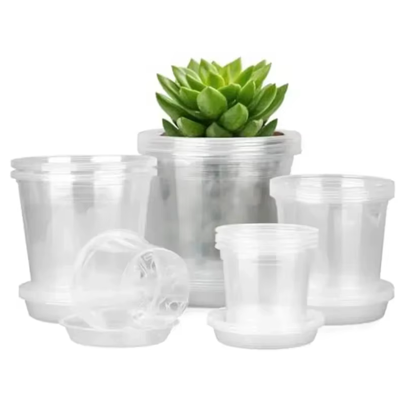 Nouveauté : Pot de pépinière transparent pour orchidées et herbes avec trou de drainage – Pot de fleurs