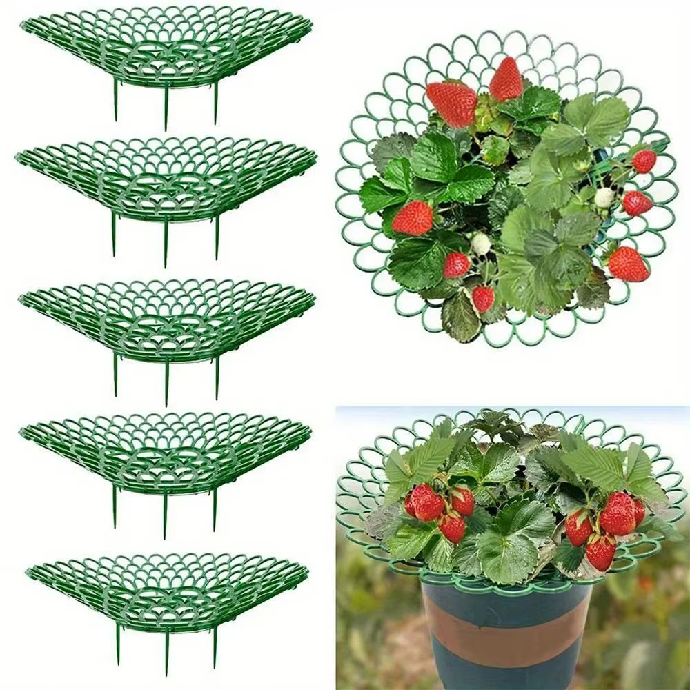 Supports robustes pour plantes de fraises à 3 pieds