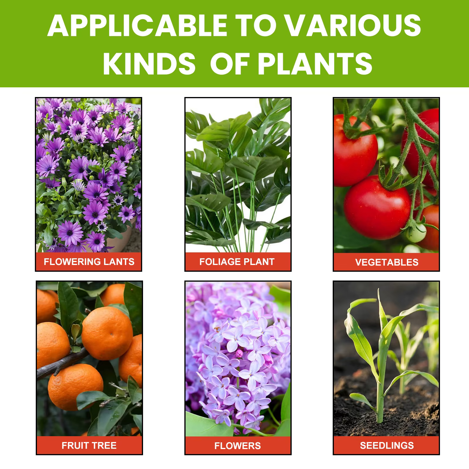 MOONSPRY Nutriments pour plantes Agent d'enracinement