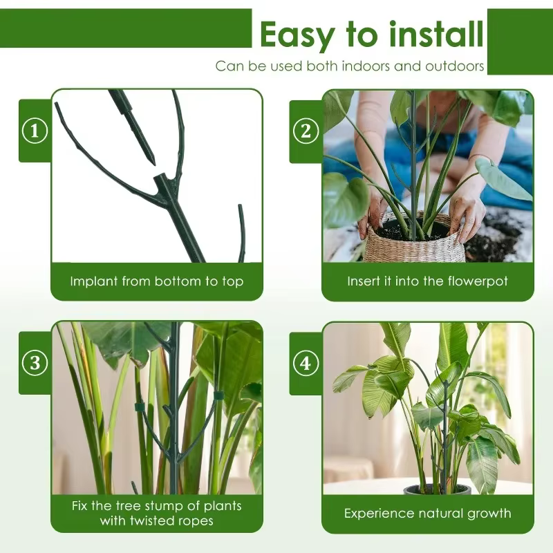 Piquets de Support pour plantes