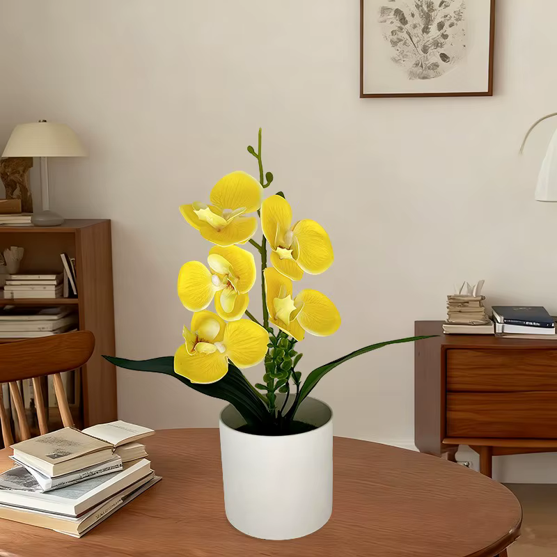 Simulation de 5 fleurs