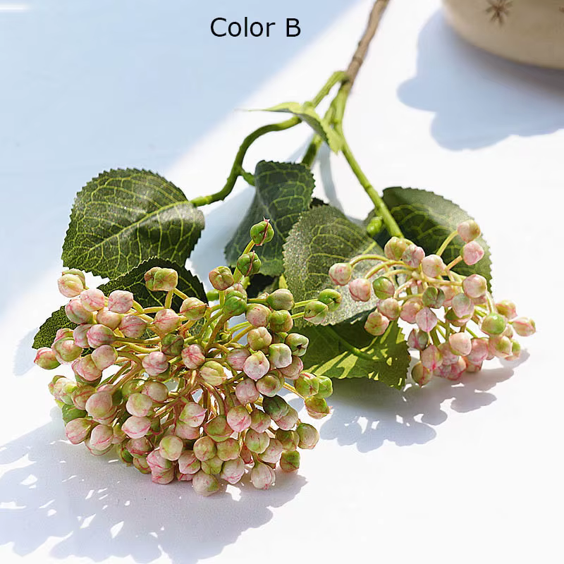 Branches de fruits de baies d'hortensia