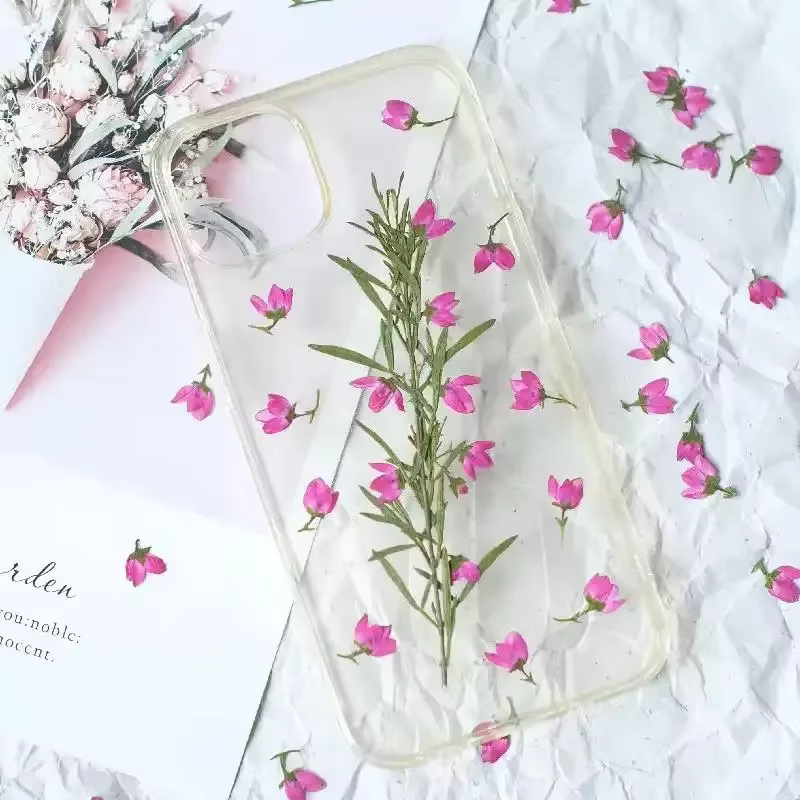 100 mini-fleurs séchées pressées roses d'Aidia canthioïde pour herbarium